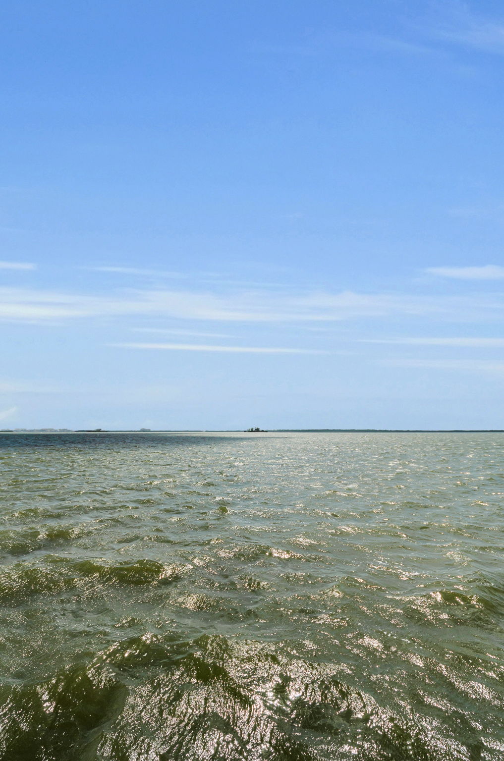 Dock6 View