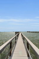 Dock3