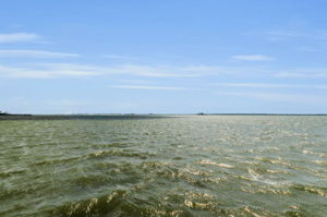 Dock5 View