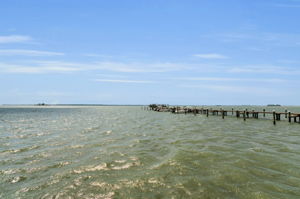 Dock7 View