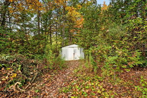  Photo 33