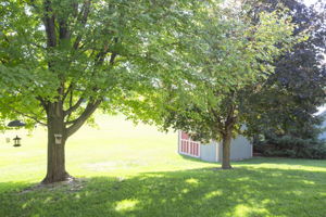  Photo 31