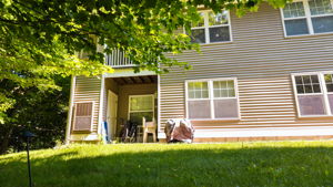  Photo 52