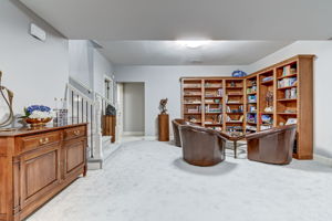 Lower Family Room