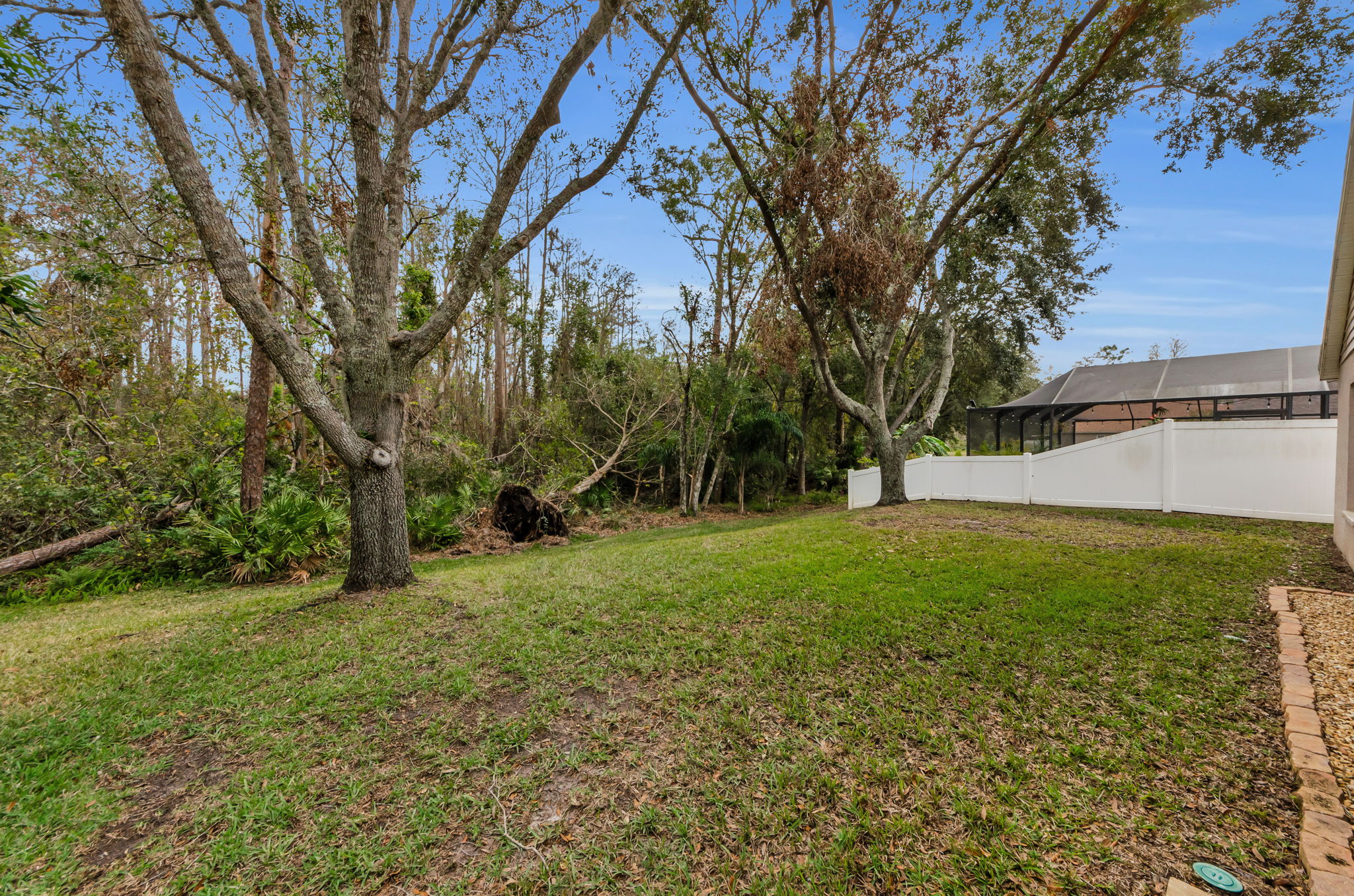 Backyard 5