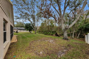 Backyard 1