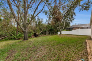 Backyard 5