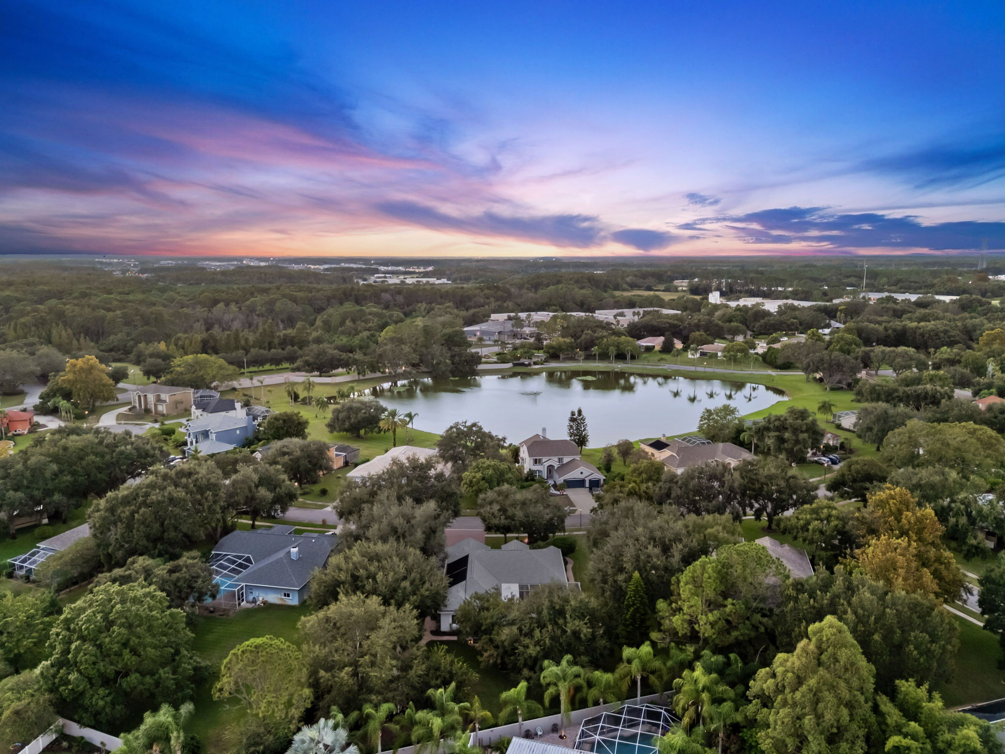 Twilight Drone (12)