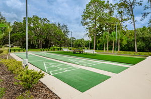 Shuffle Board Courts 1A