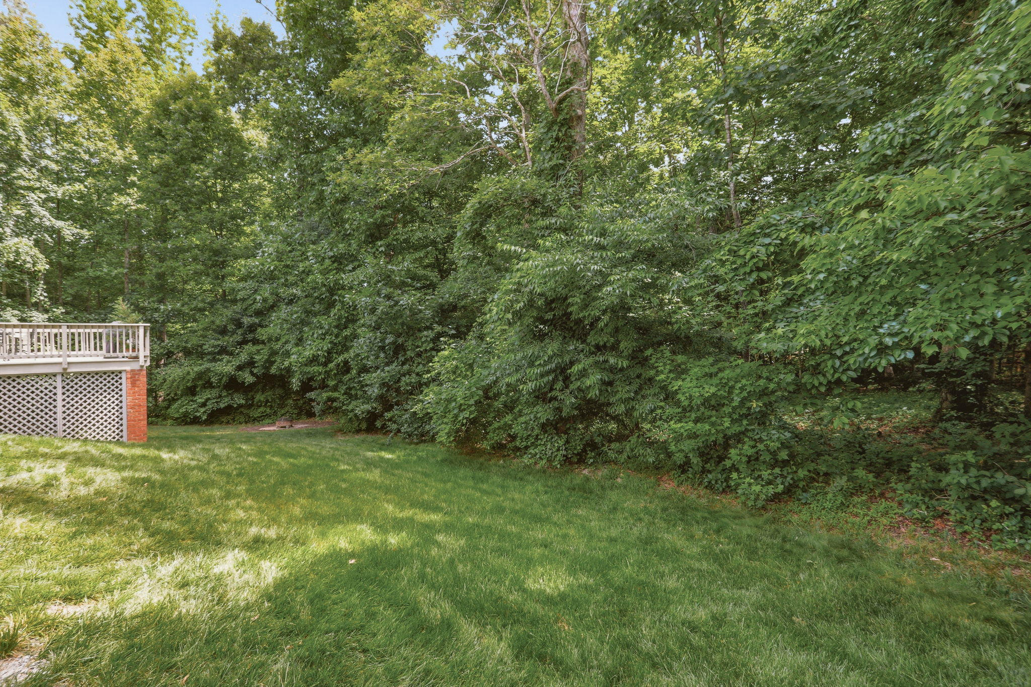 46-Backyard