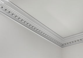 30-Dental Molding