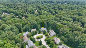 49-Aerial
