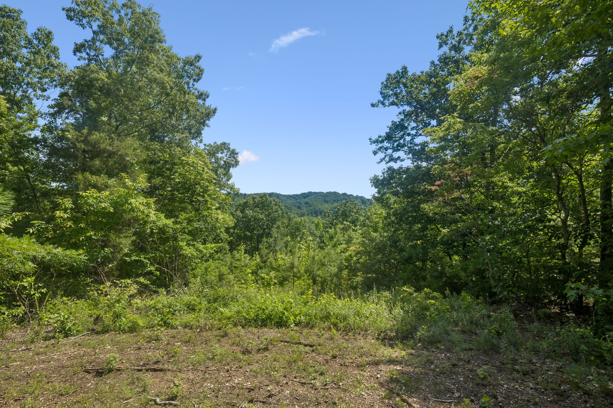  Photo 40