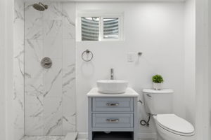 Basment Bath 1