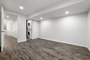 Basment Den 1