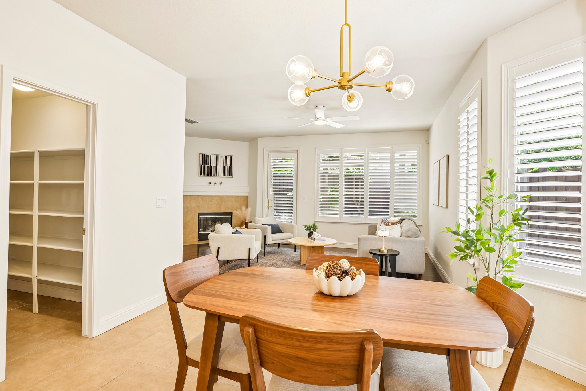 Panwood Ct-S1405-019.jpg