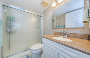 Master Bathroom 1a