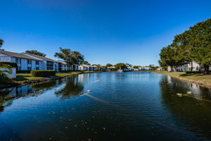 20-Pine Ridge Lake Tarpon Water View