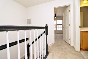 LEVEL 3