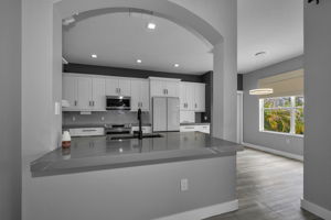 Kitchen Counter 1