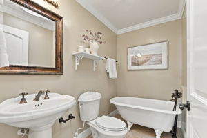  Photo 44