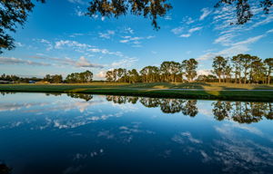 Backyard Water View3