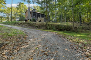  Photo 0