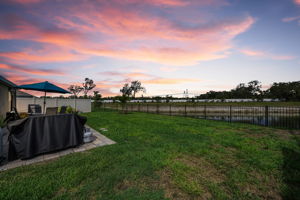 Backyard 2