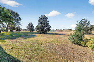 Magnificent Golf Front Views!