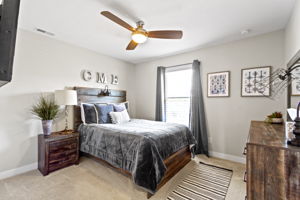  Photo 31