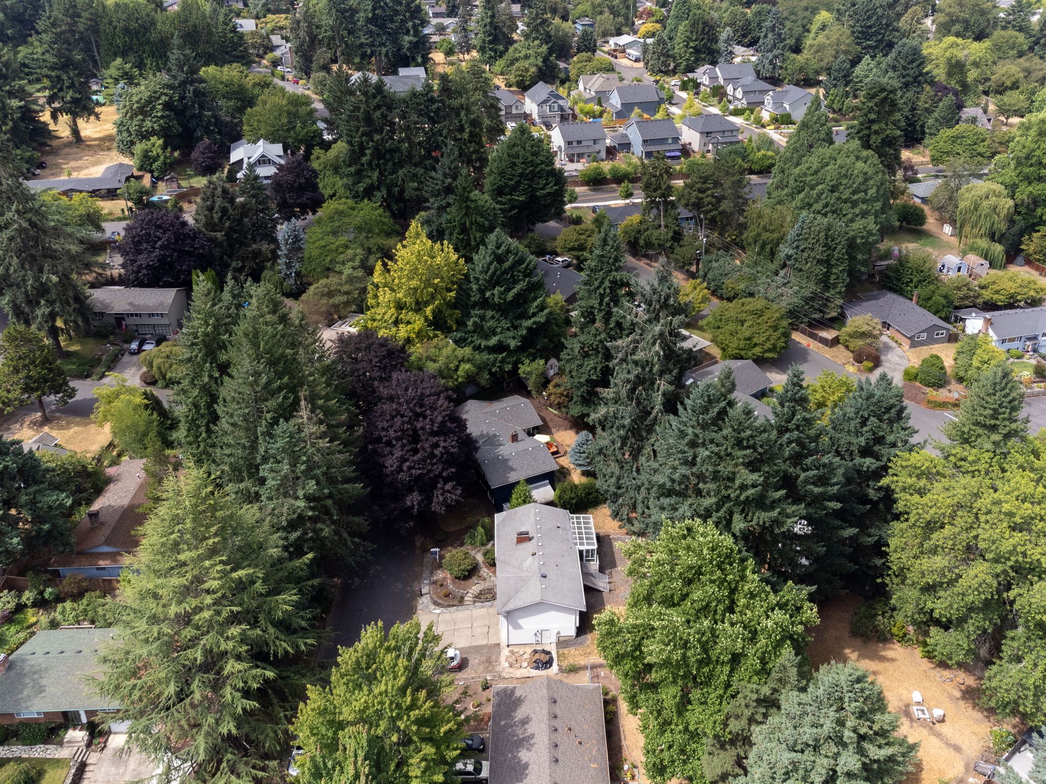 Lots of mature trees in the neighborhood