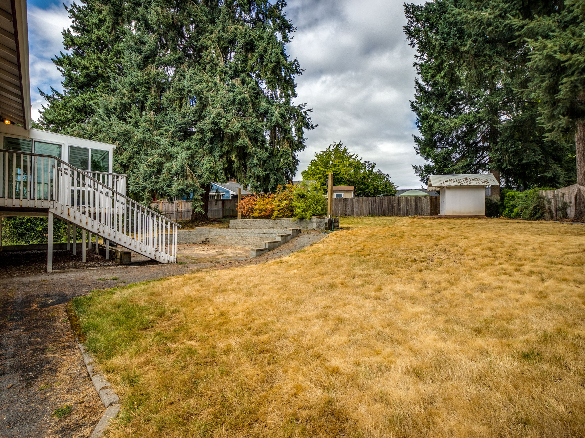 Backyard - gentle slope