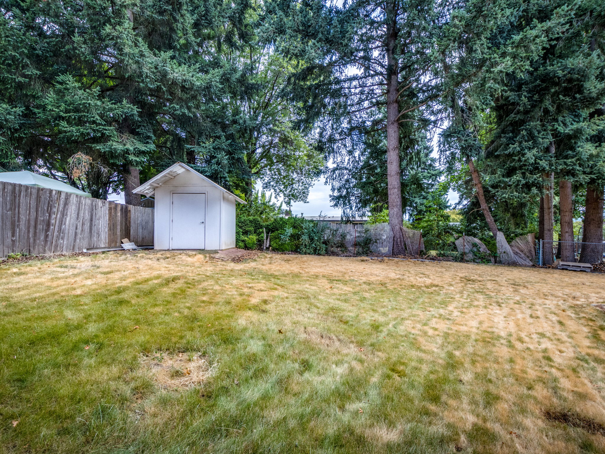 Backyard - Utility shed