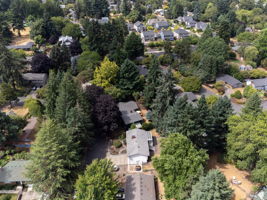Lots of mature trees in the neighborhood