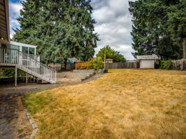 Backyard - gentle slope