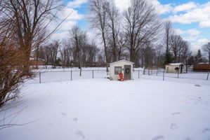  Photo 44