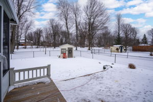  Photo 42