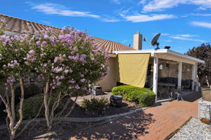  Photo 47