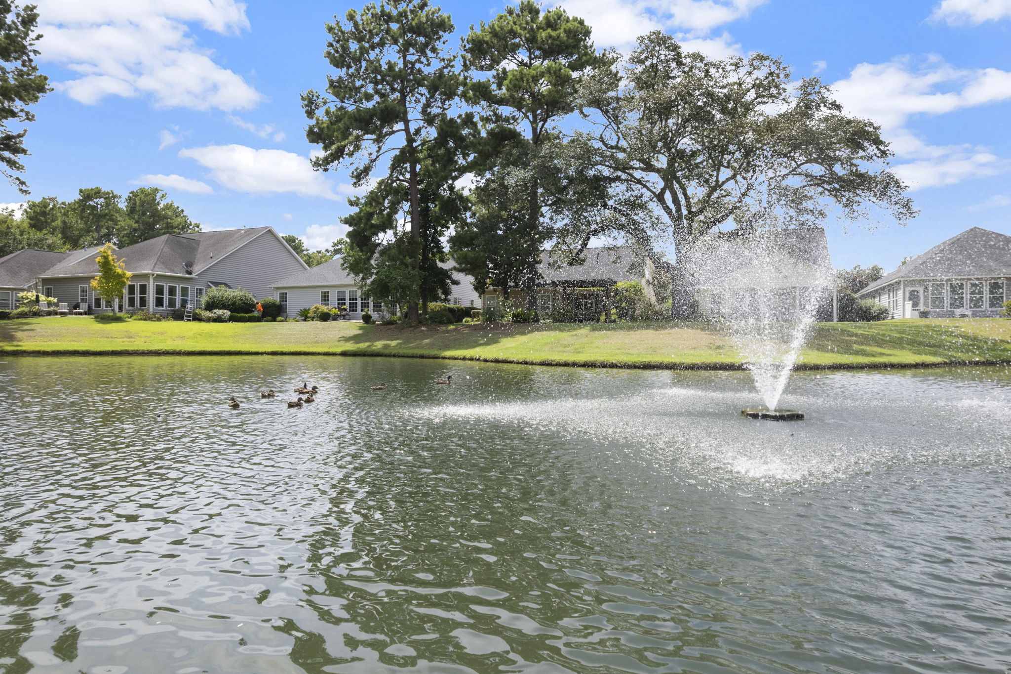135 Brutus Ln, Summerville, SC 29485, USA Photo 8