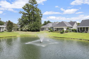 135 Brutus Ln, Summerville, SC 29485, USA Photo 8