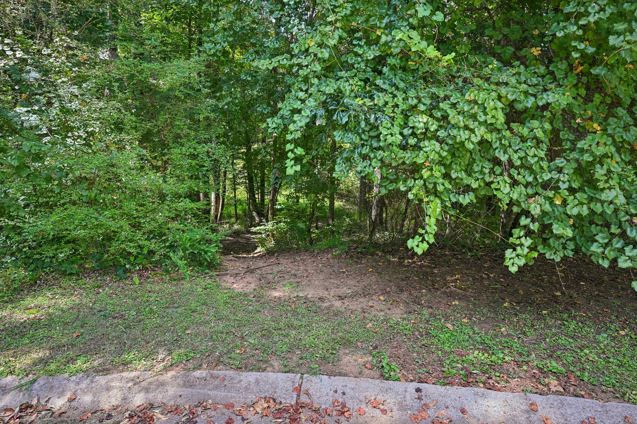Creekview Dr-S2208-056.jpg