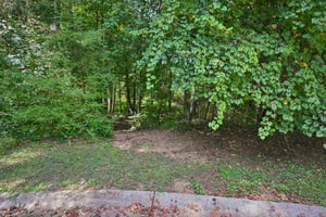 Creekview Dr-S2208-056.jpg