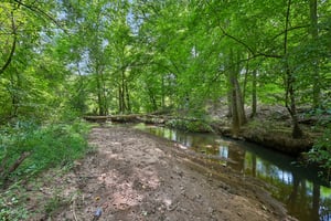 Creekview Dr-S2208-060.jpg
