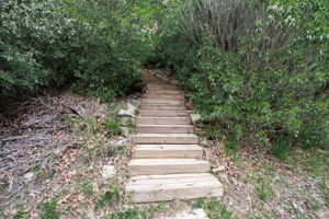  Photo 57