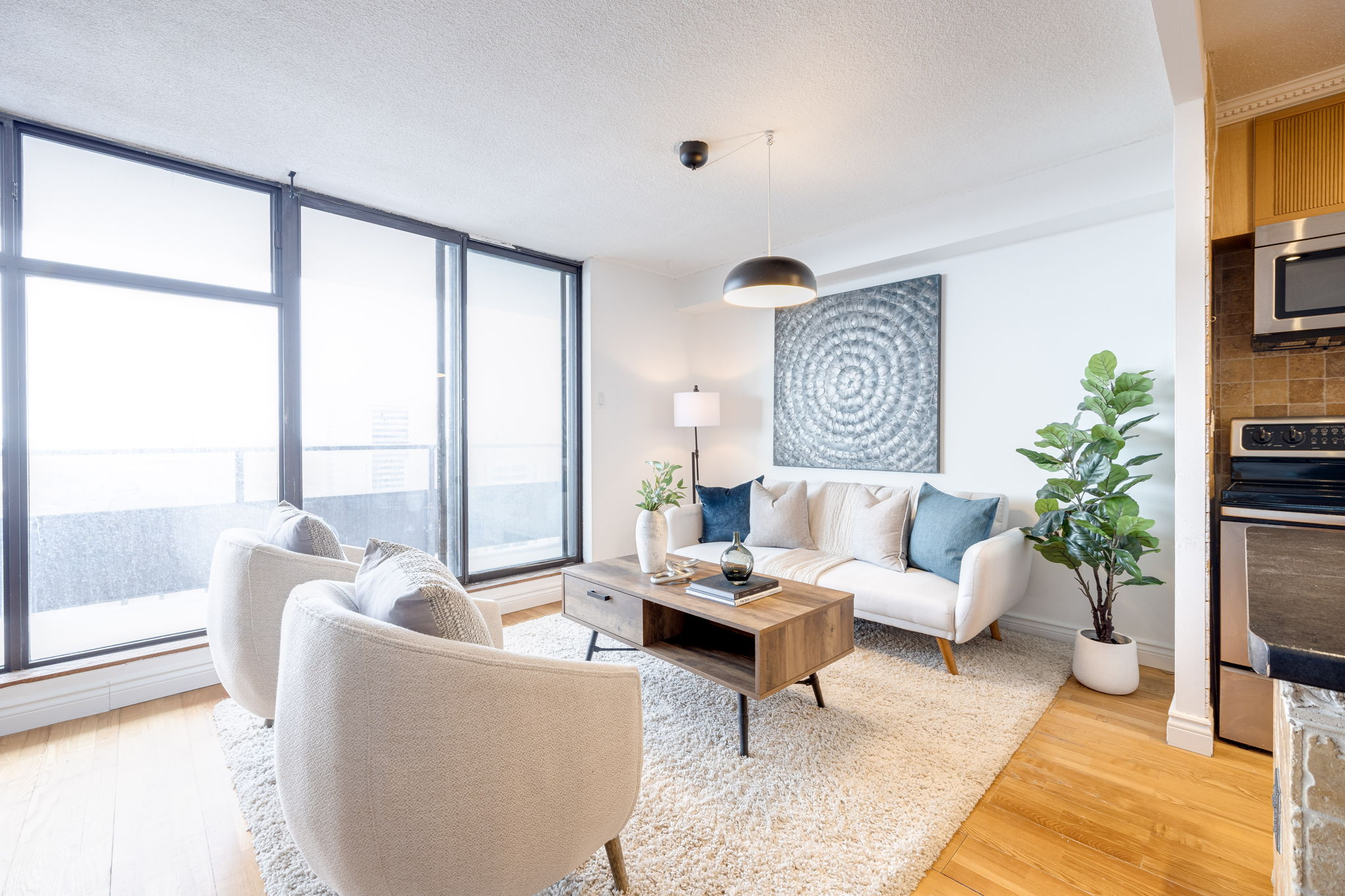 Toronto property showcase — delivered property photograph 12