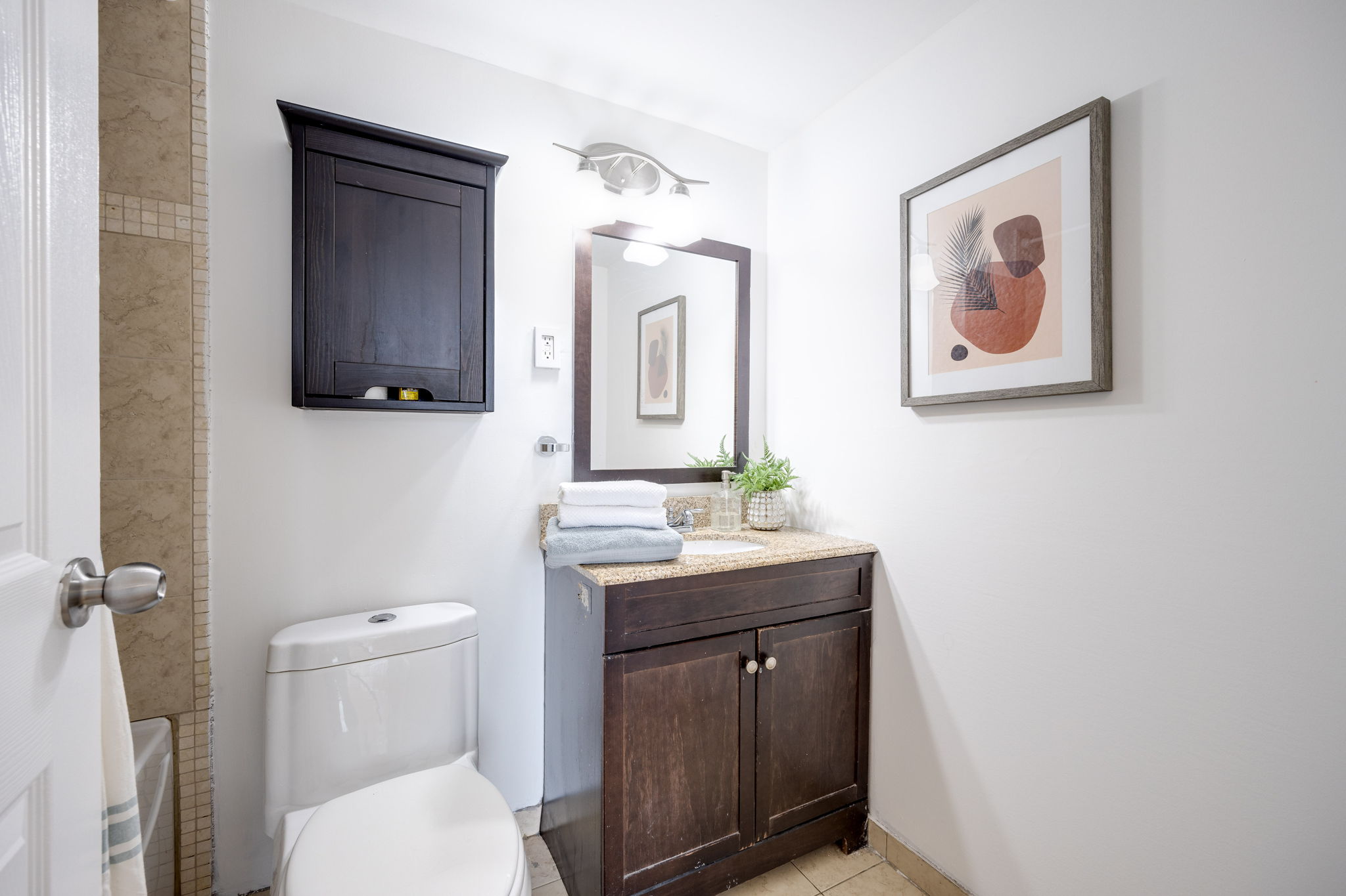 Toronto property showcase — delivered property photograph 19