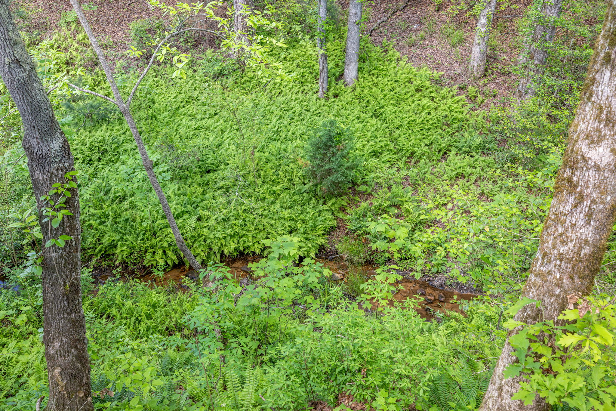 Image-56