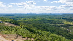Image-87