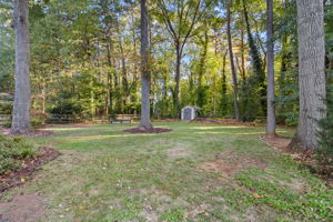 Private Wooded Backyard