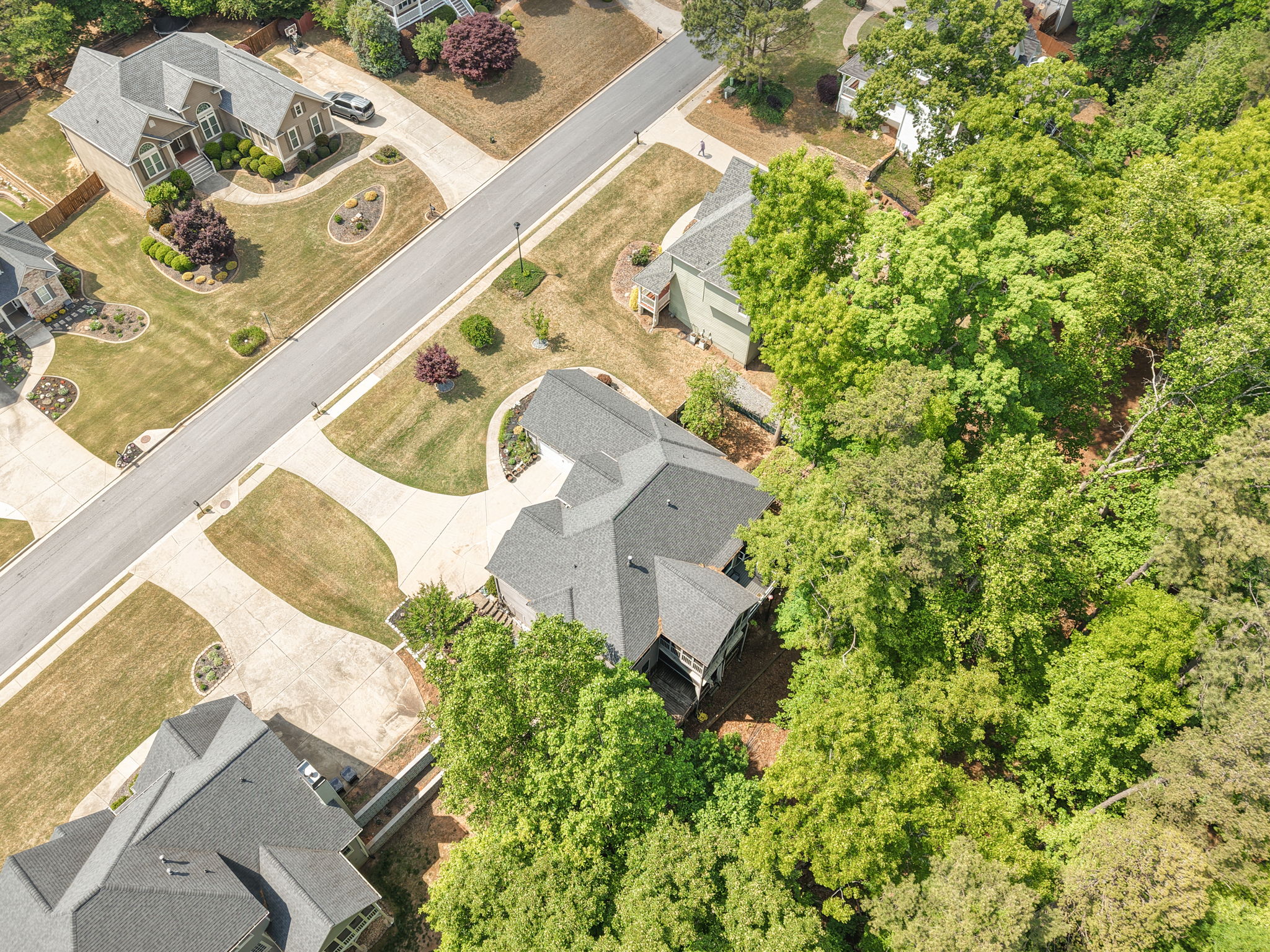  Photo 55